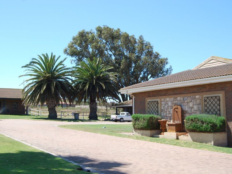 Front view of the small holding featuring a brick facade, stone cladding, paved driveway, and established garden with mature palm trees.