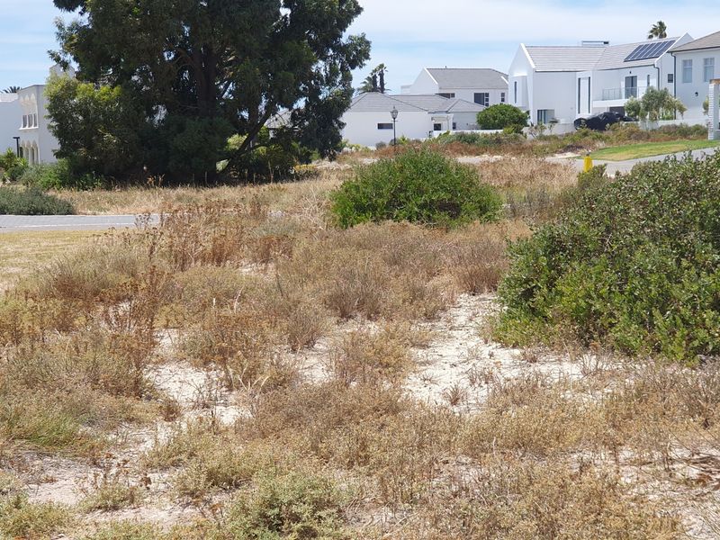 A vacant residential plot featuring sandy soil and native vegetation, situated in a developed neighborhood with established homes nearby.