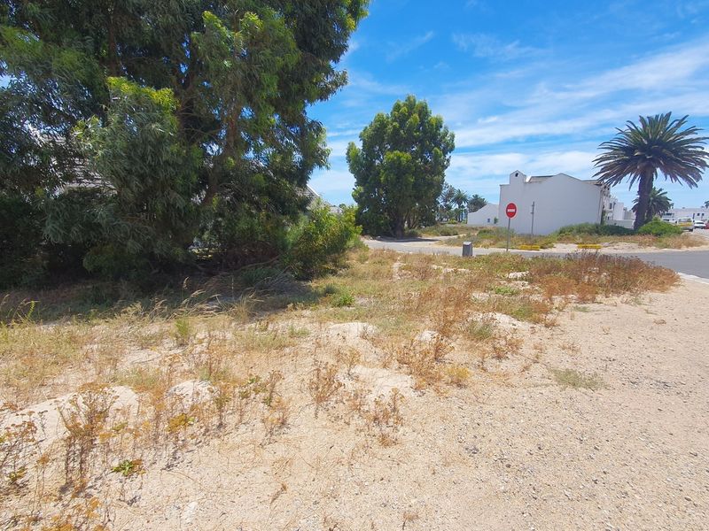 A vacant residential plot featuring sandy terrain, mature trees, and direct access to a paved street with established kerbing.