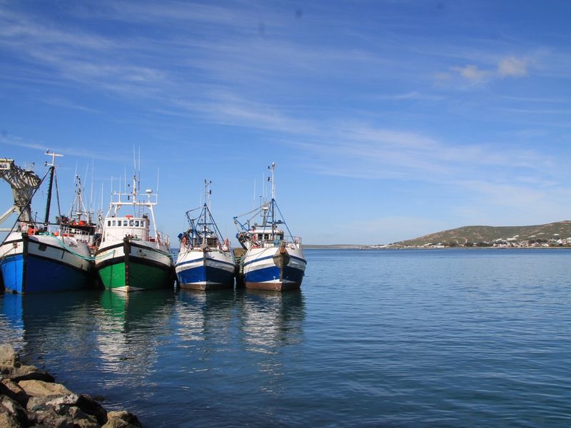 A scenic view of fishing vessels docked at a harbour with coastal landscape in the background.