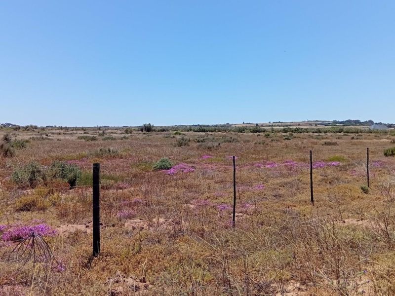 A wide-angle view of a vacant residential plot featuring natural vegetation and perimeter wire fencing.