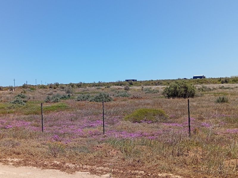 A view of a vacant residential plot featuring natural vegetation and perimeter wire fencing.