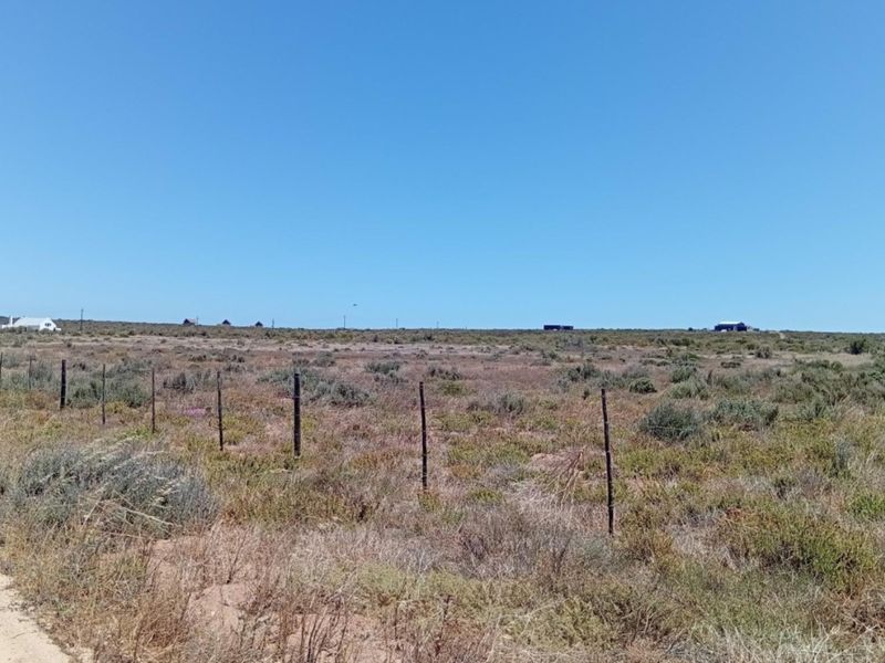 A wide-angle view of a vacant residential plot featuring natural vegetation and perimeter wire fencing along a dirt road.