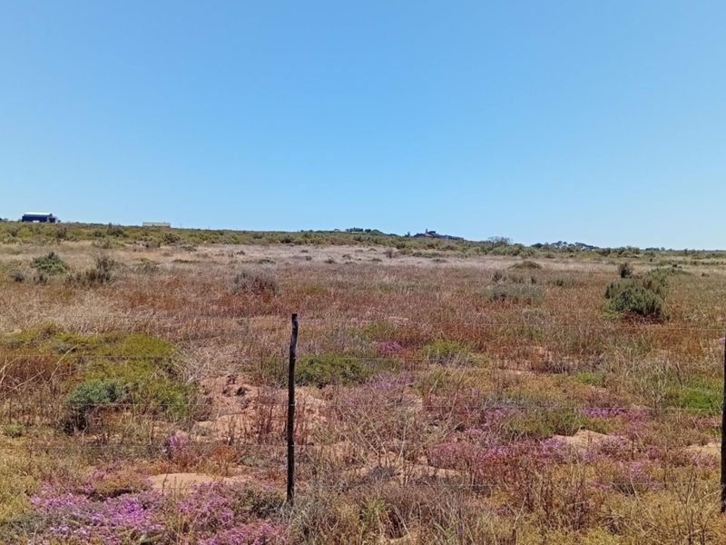 A wide-angle view of a vacant residential plot featuring natural vegetation and perimeter wire fencing under a clear blue sky.
