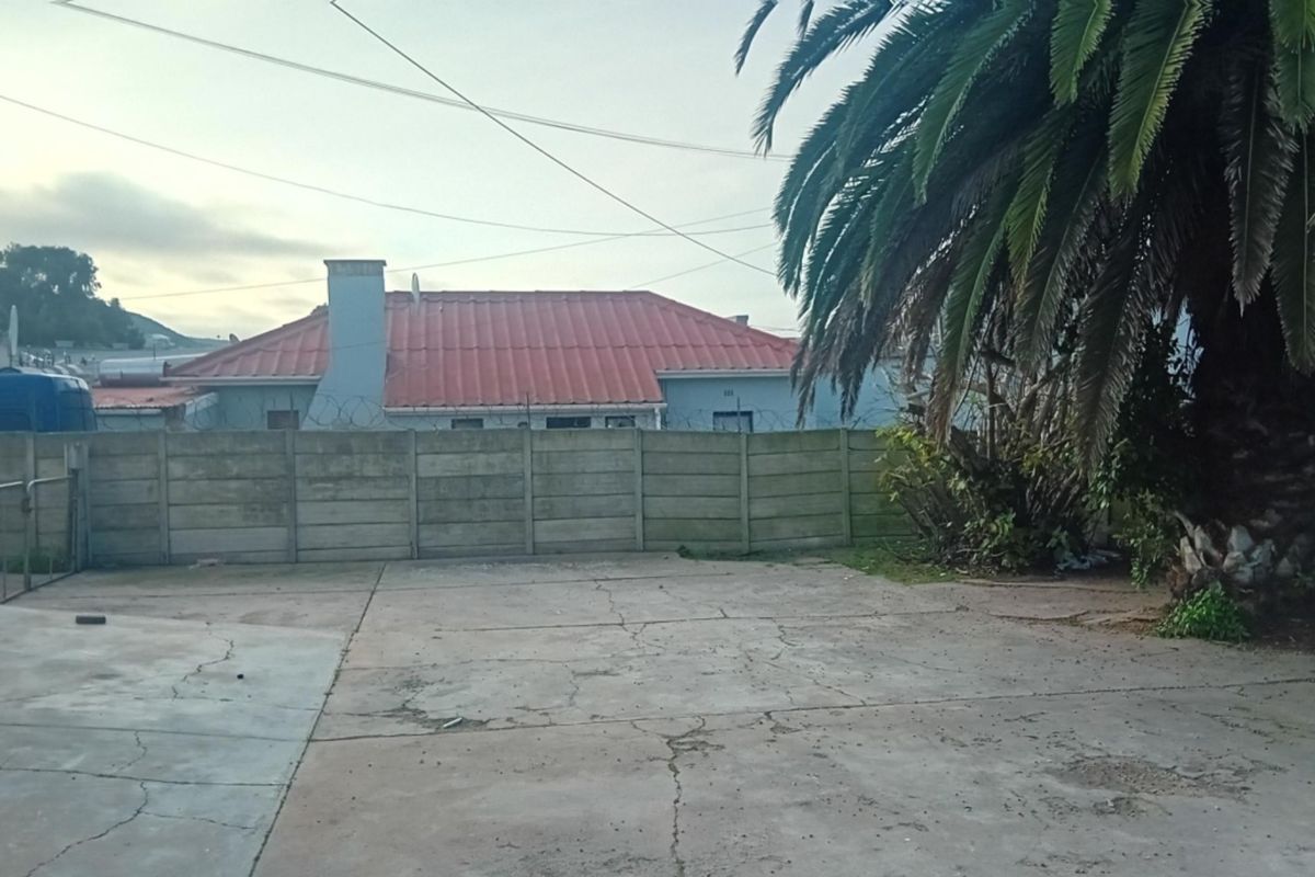 Rear exterior area featuring a large concrete paved yard, precast boundary wall with security razor wire, and a mature palm tree.