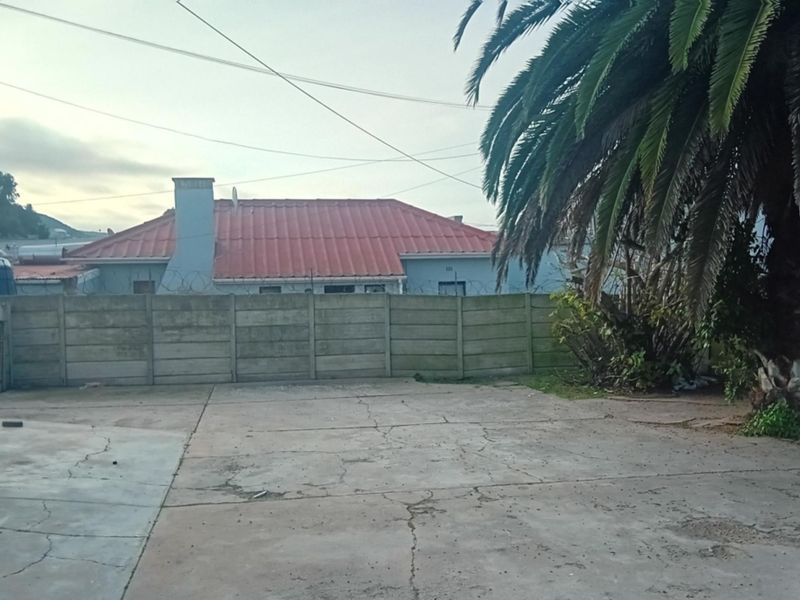 Rear exterior area featuring a large concrete paved yard, precast boundary wall with security razor wire, and a mature palm tree.