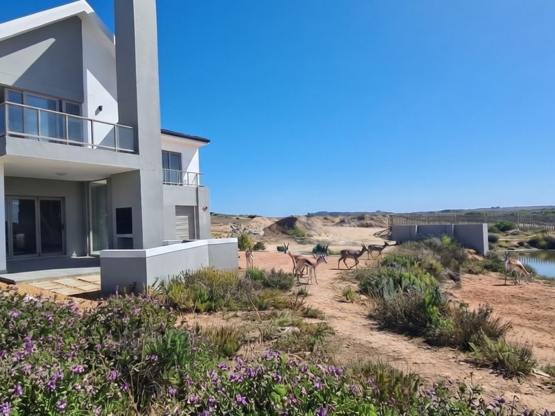Modern double-story residence featuring a rear patio with built-in braai, overlooking a natural landscape with a small water feature.