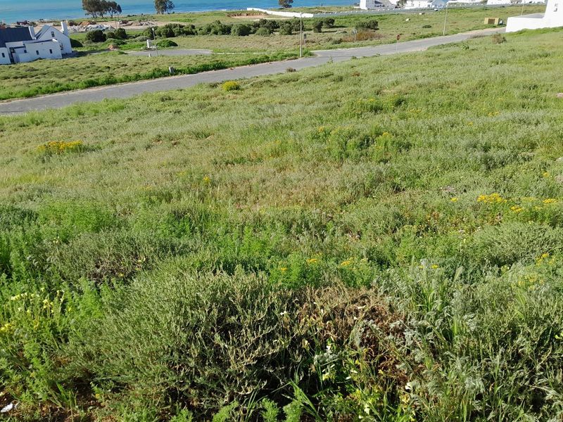 Coastal Plot in Columbine - Photo 7