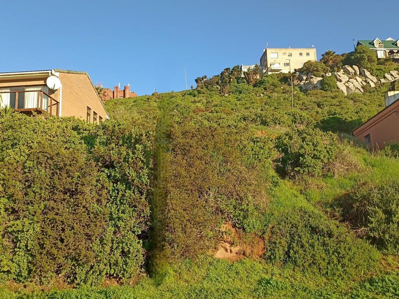 VACANT LAND WITH A SPECTACULAR VIEW - Photo 4