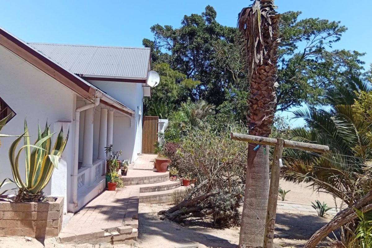 Rear exterior view of the house featuring a covered patio area, brick paving, and established garden surroundings.