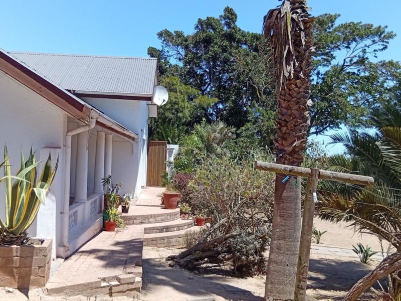 Rear exterior view of the house featuring a covered patio area, brick paving, and established garden surroundings.
