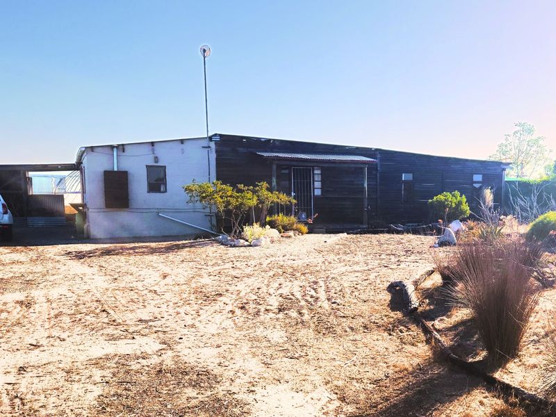 Tranquil Lifestyle Farm with Endless Potential Near Hopefield! - Photo 3