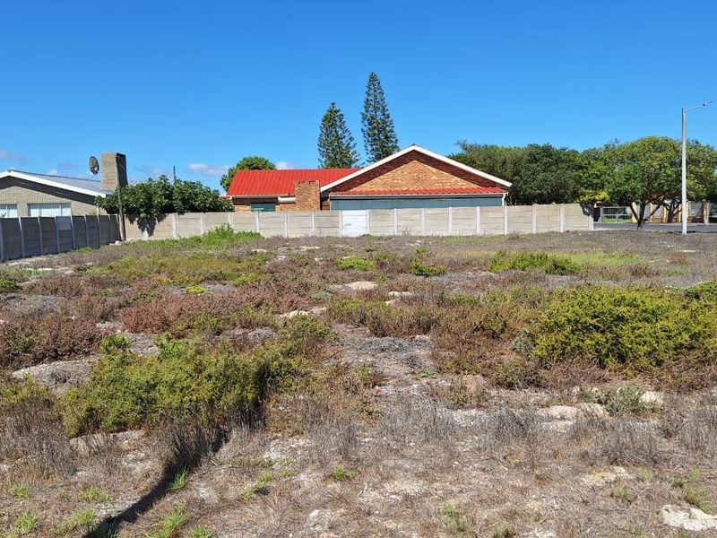A vacant residential plot featuring natural vegetation, enclosed by a precast concrete boundary wall in a established neighborhood setting.