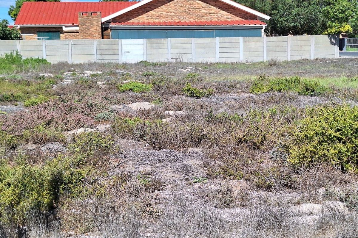 A view of a vacant residential plot featuring natural vegetation and a precast concrete boundary wall.