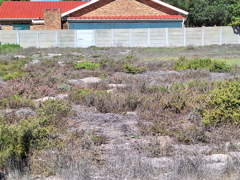 A view of a vacant residential plot featuring natural vegetation and a precast concrete boundary wall.