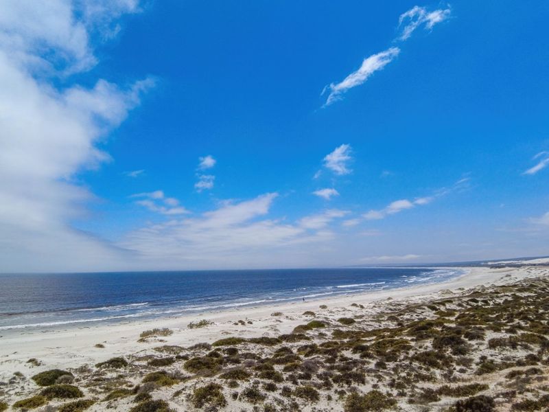 A scenic coastal view featuring a sandy beach, dunes, and the ocean under a clear blue sky.