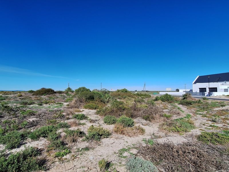 A wide-angle view of a vacant residential plot featuring natural coastal vegetation and level terrain, situated in a developed neighborhood.