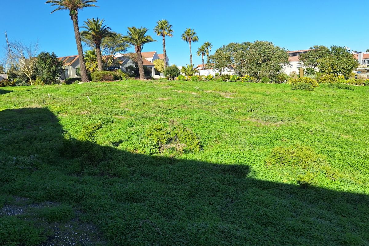 A vacant residential plot featuring established palm trees and green ground cover, situated within a developed neighborhood setting.