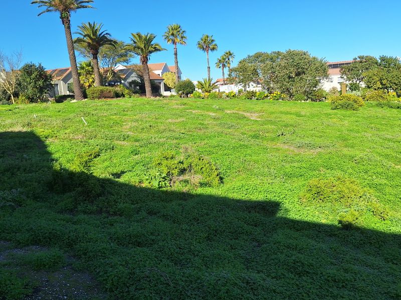 A vacant residential plot featuring established palm trees and green ground cover, situated within a developed neighborhood setting.