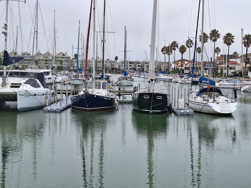 A scenic view of a residential marina featuring multiple sailboats and yachts moored at floating docks with surrounding coastal housing.
