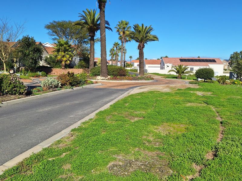A view of the residential street and landscaped verge area, featuring paved access and established palm trees within a well-maintained estate setting.