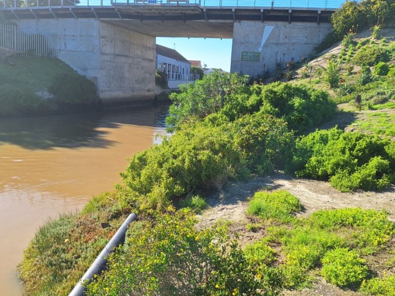 A view of a river flowing beneath a concrete bridge, featuring natural vegetation along the riverbank.