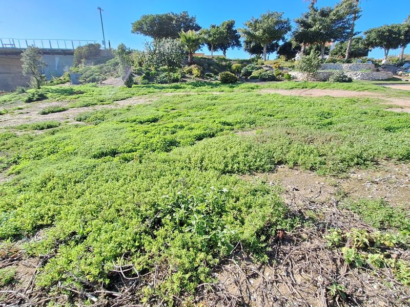 A view of a vacant residential plot featuring established ground cover, landscaping, and a retaining wall structure.