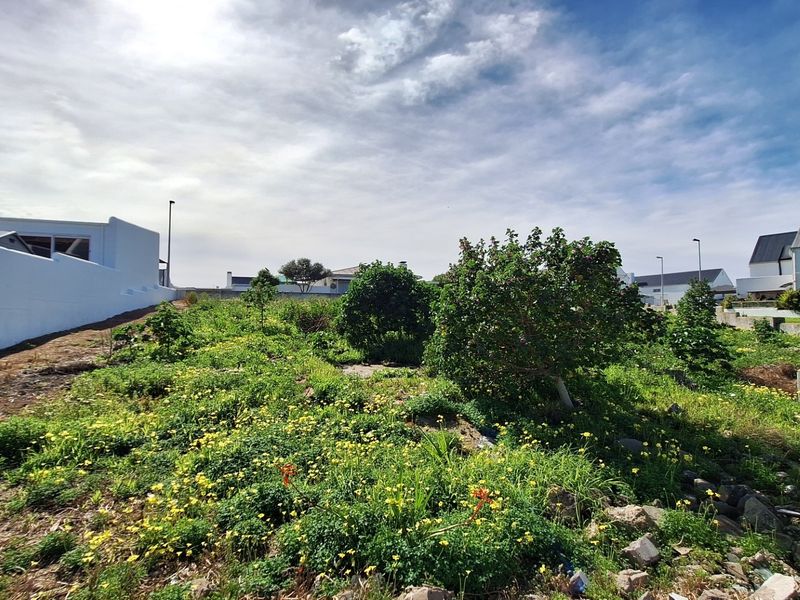 A view of a vacant residential plot featuring natural vegetation, established shrubs, and surrounding boundary walls in a residential estate setting.