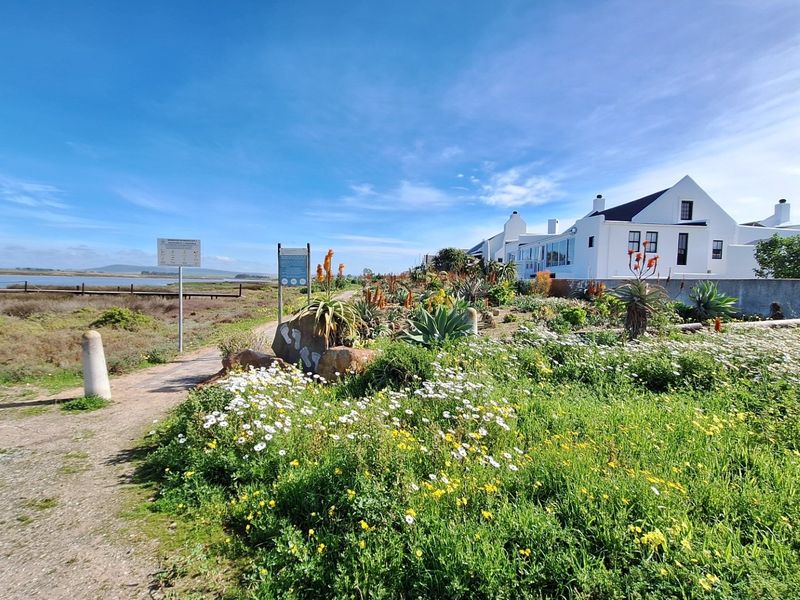 A scenic view of the coastal landscape and native garden area adjacent to a residential property.