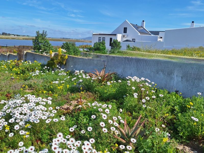 A view of a landscaped garden with a concrete boundary wall, featuring a residential property in the background with solar panels.