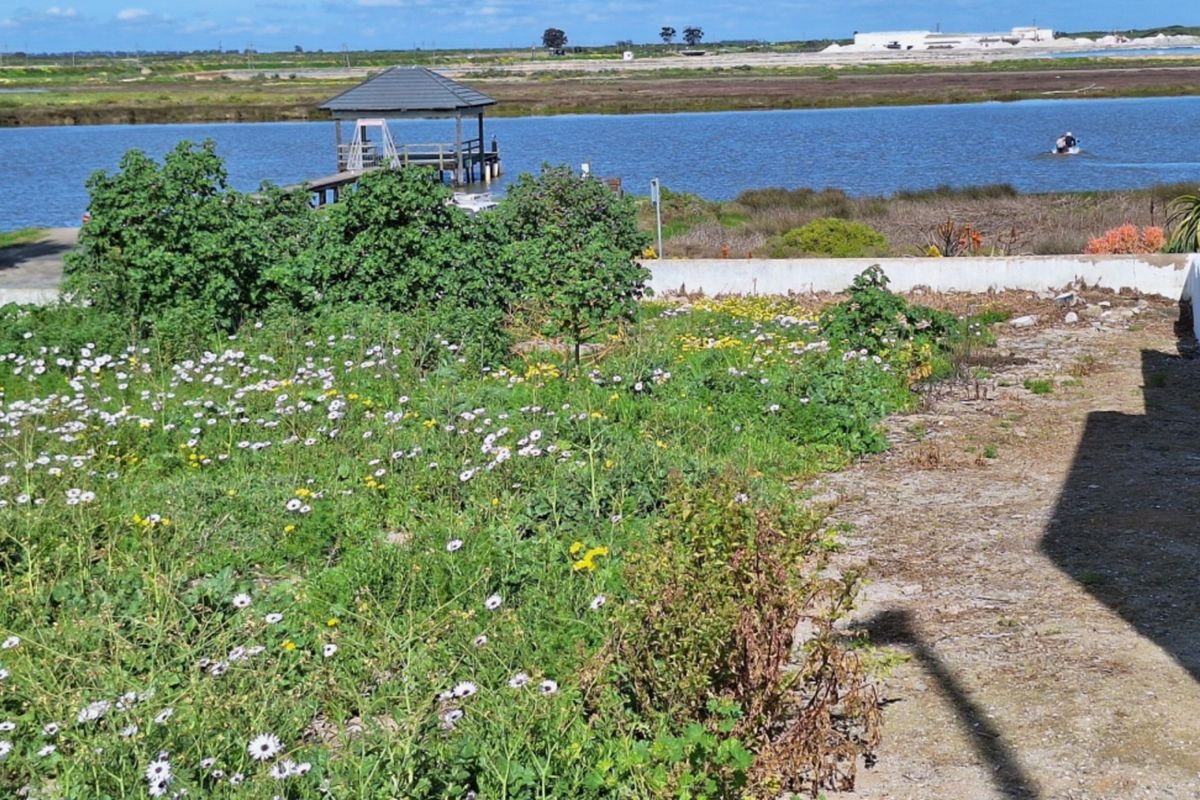A view of the waterfront area featuring a small jetty and gazebo, with an overgrown garden area in the foreground.