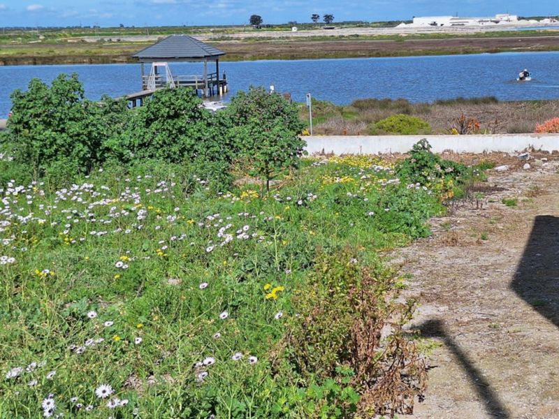 A view of the waterfront area featuring a small jetty and gazebo, with an overgrown garden area in the foreground.