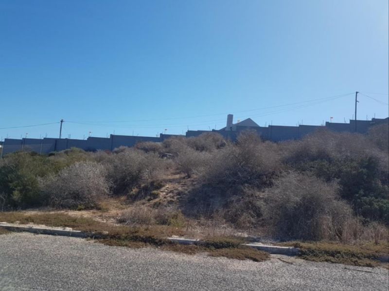 A vacant residential plot featuring natural vegetation, bordered by a perimeter wall and accessible via an asphalt road.