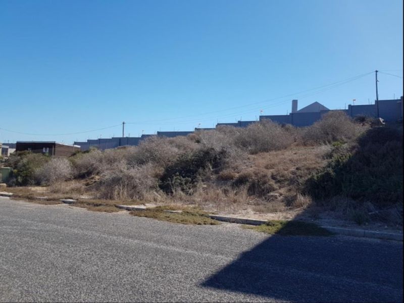 A vacant residential plot featuring natural vegetation, bordering an asphalt road with concrete curbing, situated in a developed neighborhood.