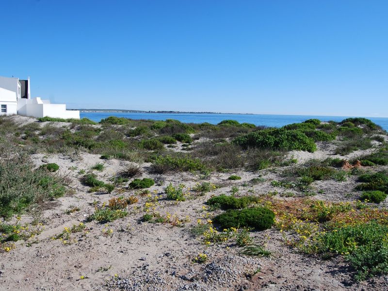 A scenic view of the coastal landscape featuring natural sand dunes and native vegetation overlooking the ocean.