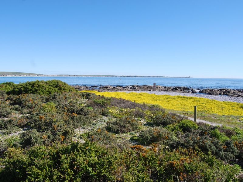 A scenic view of the coastal landscape featuring native vegetation, a rocky shoreline, and an expansive ocean horizon.