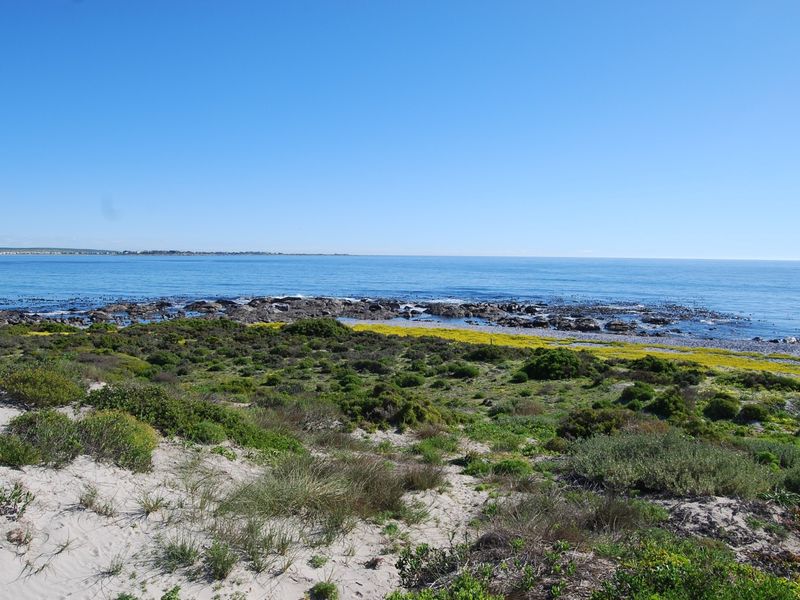 A scenic view of the coastal landscape featuring a rocky shoreline, native vegetation, and clear ocean waters.