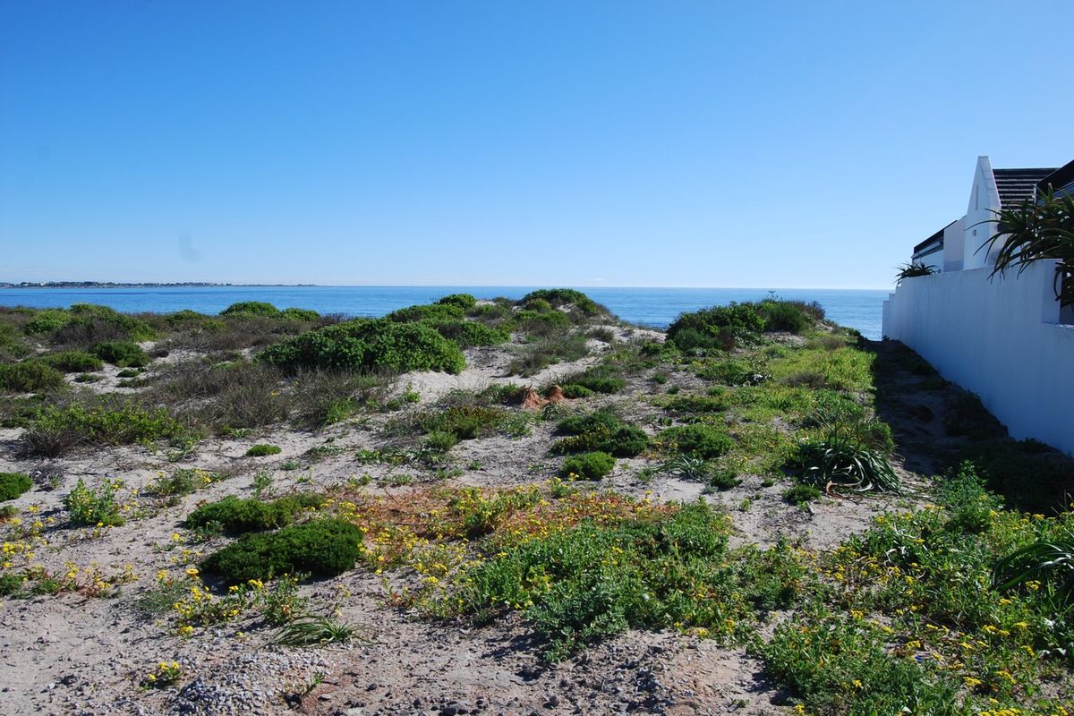 A scenic view of the coastline featuring natural sand dunes, native vegetation, and a clear ocean horizon adjacent to a residential boundary wall.