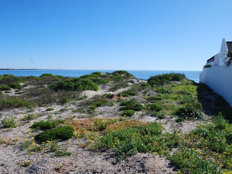 A scenic view of the coastline featuring natural sand dunes, native vegetation, and a clear ocean horizon adjacent to a residential boundary wall.