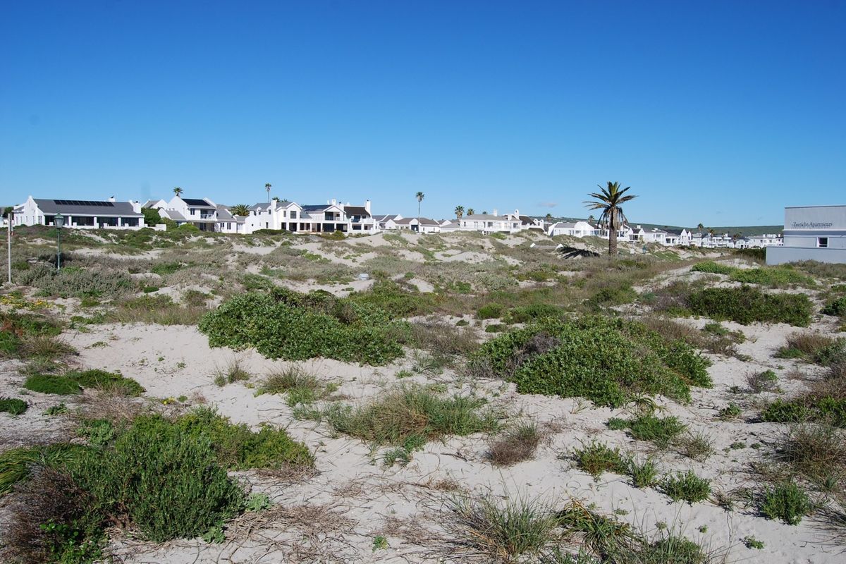 A scenic view of a coastal residential area featuring natural sand dunes and native vegetation in the foreground with houses in the background.