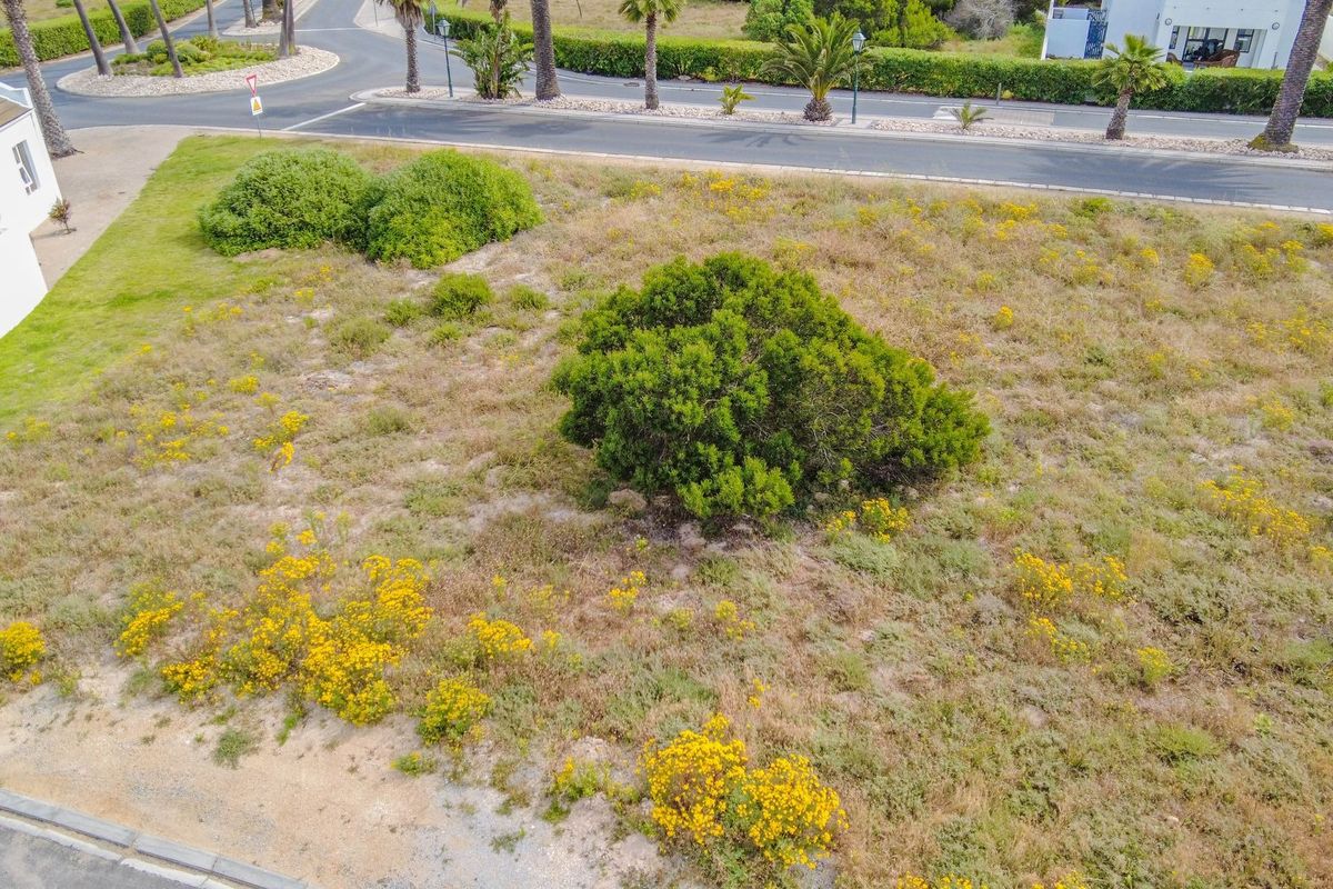 An aerial view of a vacant residential plot featuring natural vegetation and proximity to established street infrastructure.