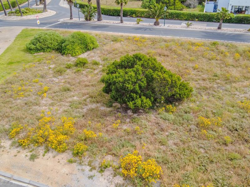 An aerial view of a vacant residential plot featuring natural vegetation and proximity to established street infrastructure.