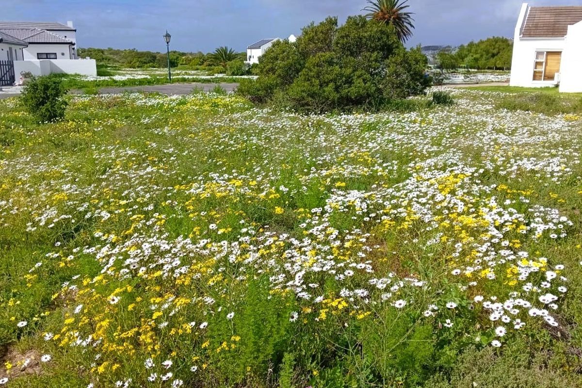 A vacant residential plot featuring natural vegetation and wildflowers, situated within a developed neighborhood setting.