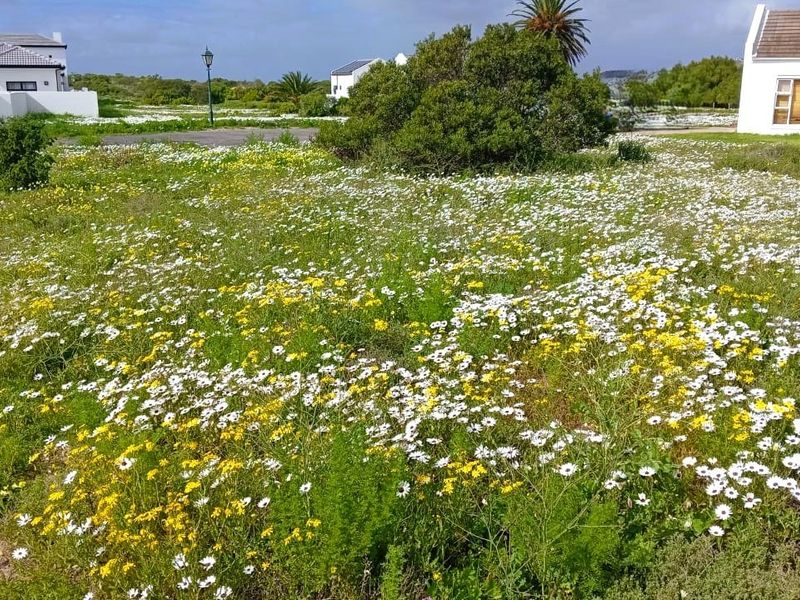 A vacant residential plot featuring natural vegetation and wildflowers, situated within a developed neighborhood setting.