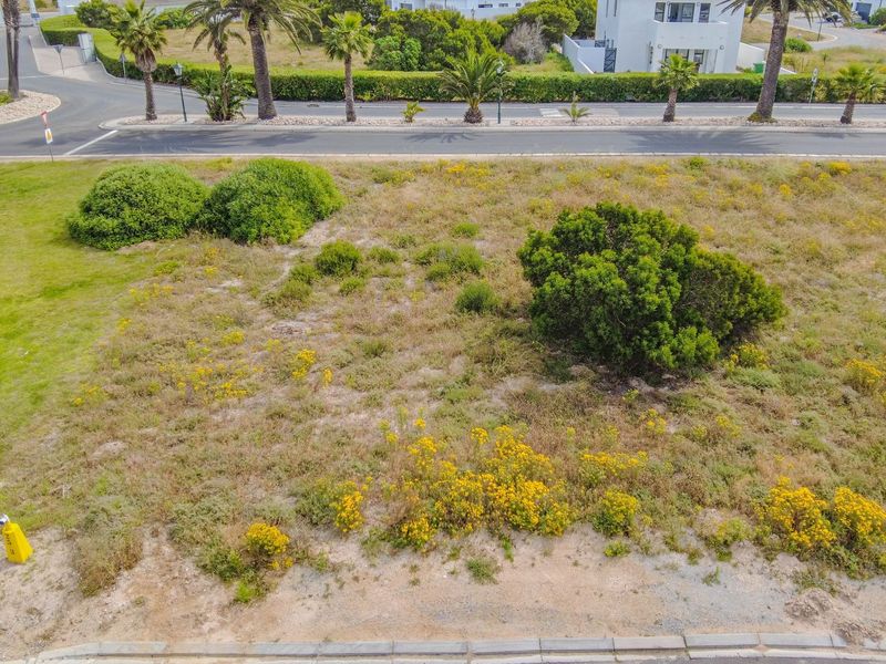 An aerial view of a vacant residential plot featuring natural vegetation and bordering a paved street with established landscaping.