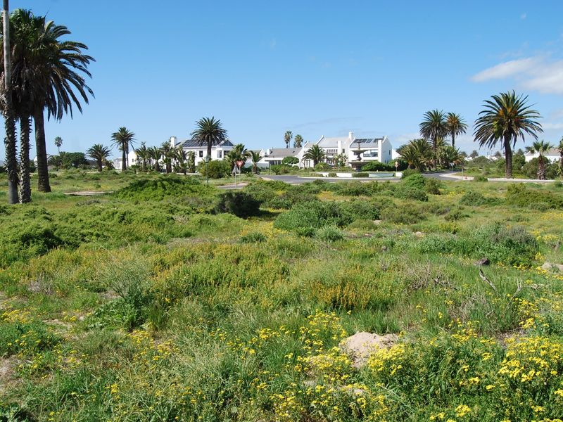 A view of a vacant residential plot featuring natural vegetation and palm trees, with established residential properties visible in the background.