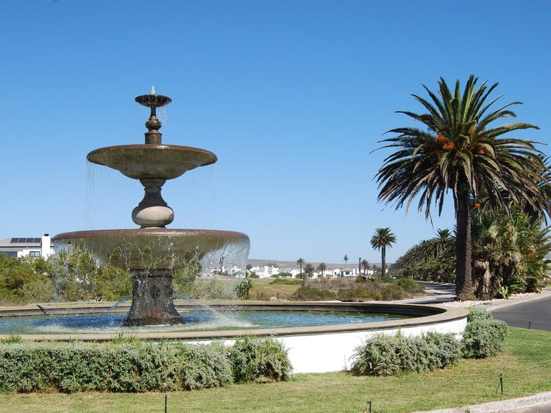 A well-maintained circular water fountain feature set within a landscaped garden area with mature palm trees.