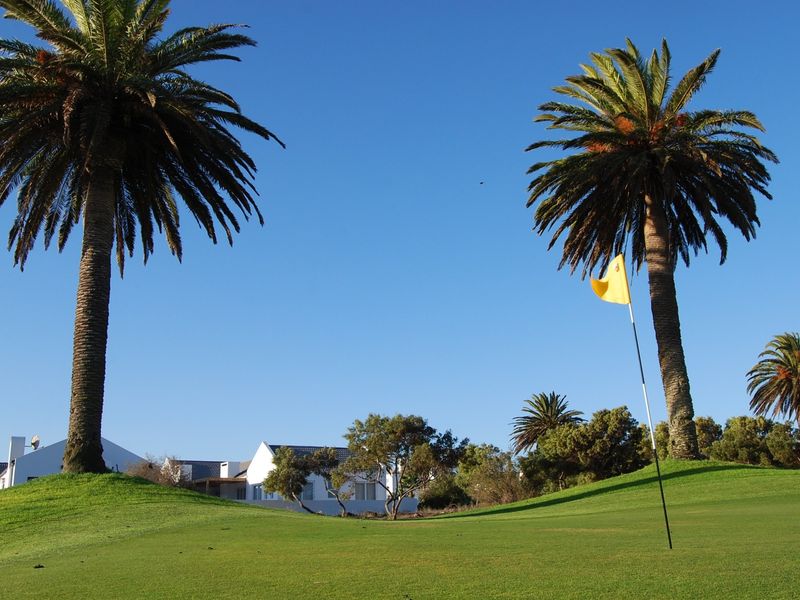 A scenic view of a well-maintained golf course green featuring mature palm trees and a distant residential property.