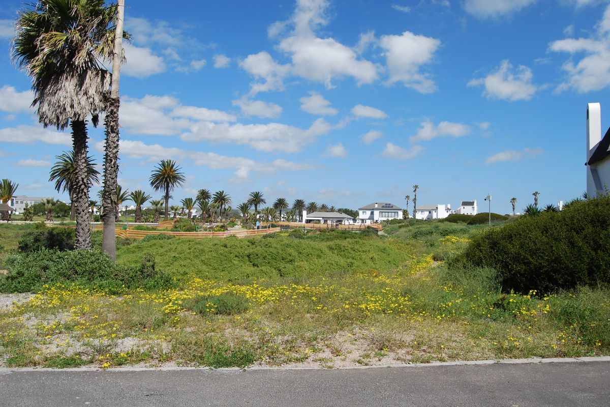 A view of a vacant residential plot featuring coastal vegetation, palm trees, and surrounding neighborhood homes under a clear blue sky.