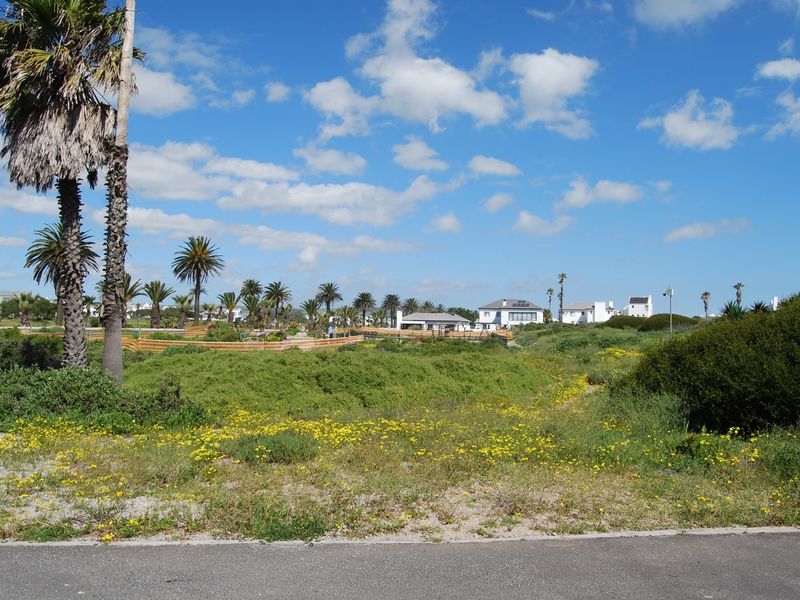 A view of a vacant residential plot featuring coastal vegetation, palm trees, and surrounding neighborhood homes under a clear blue sky.